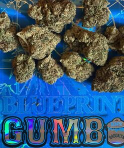 gumbo weed bags https://cannabipremium.com/