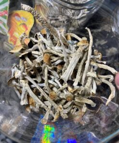 magic mushrooms https://cannabipremium.com/