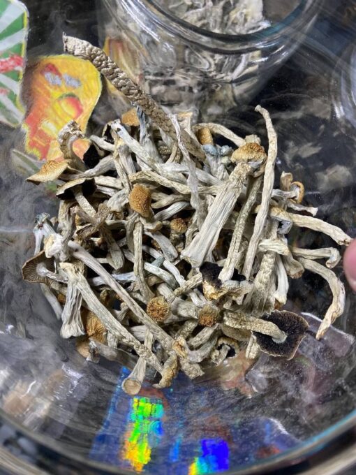 magic mushrooms https://cannabipremium.com/