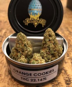 orange cookie strain